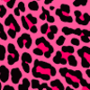 briannaaa04